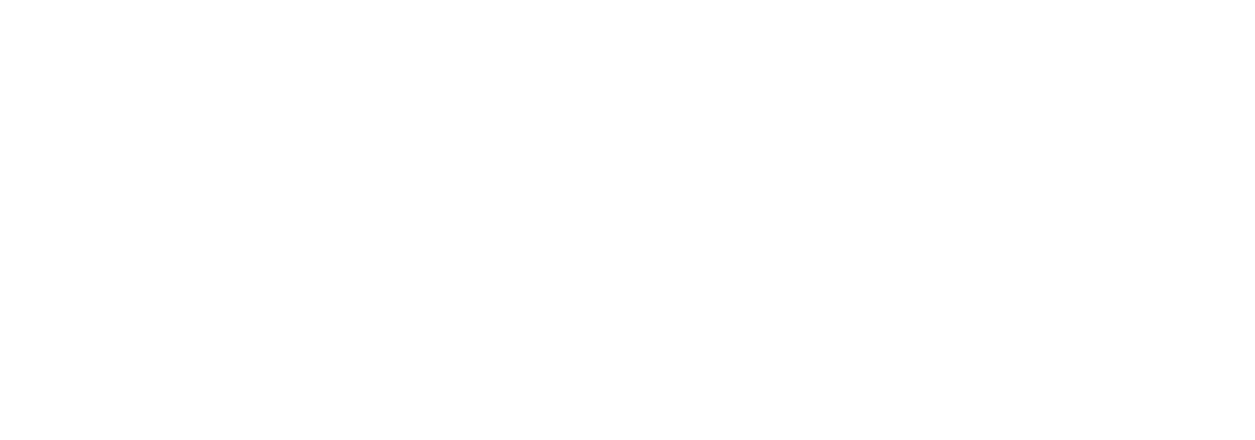 visa-global